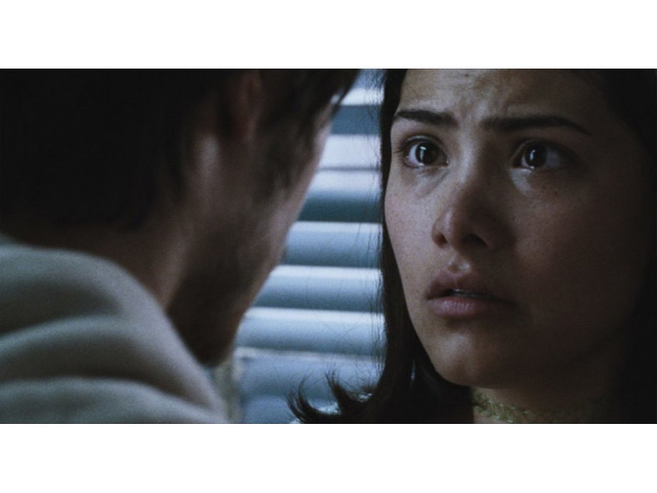 Still from Amores Perros (2000) by Alejandro G. Iñárritu, Courtesy Rodrigo Prieto. © Alta Vista Films.